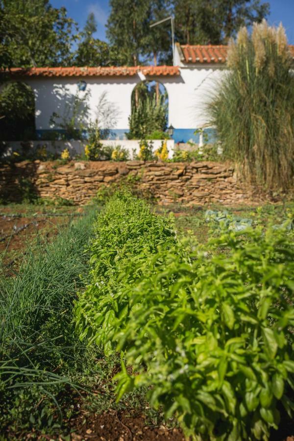 Monte Dos Tres Pocos Villa Cercal do Alentejo Ngoại thất bức ảnh